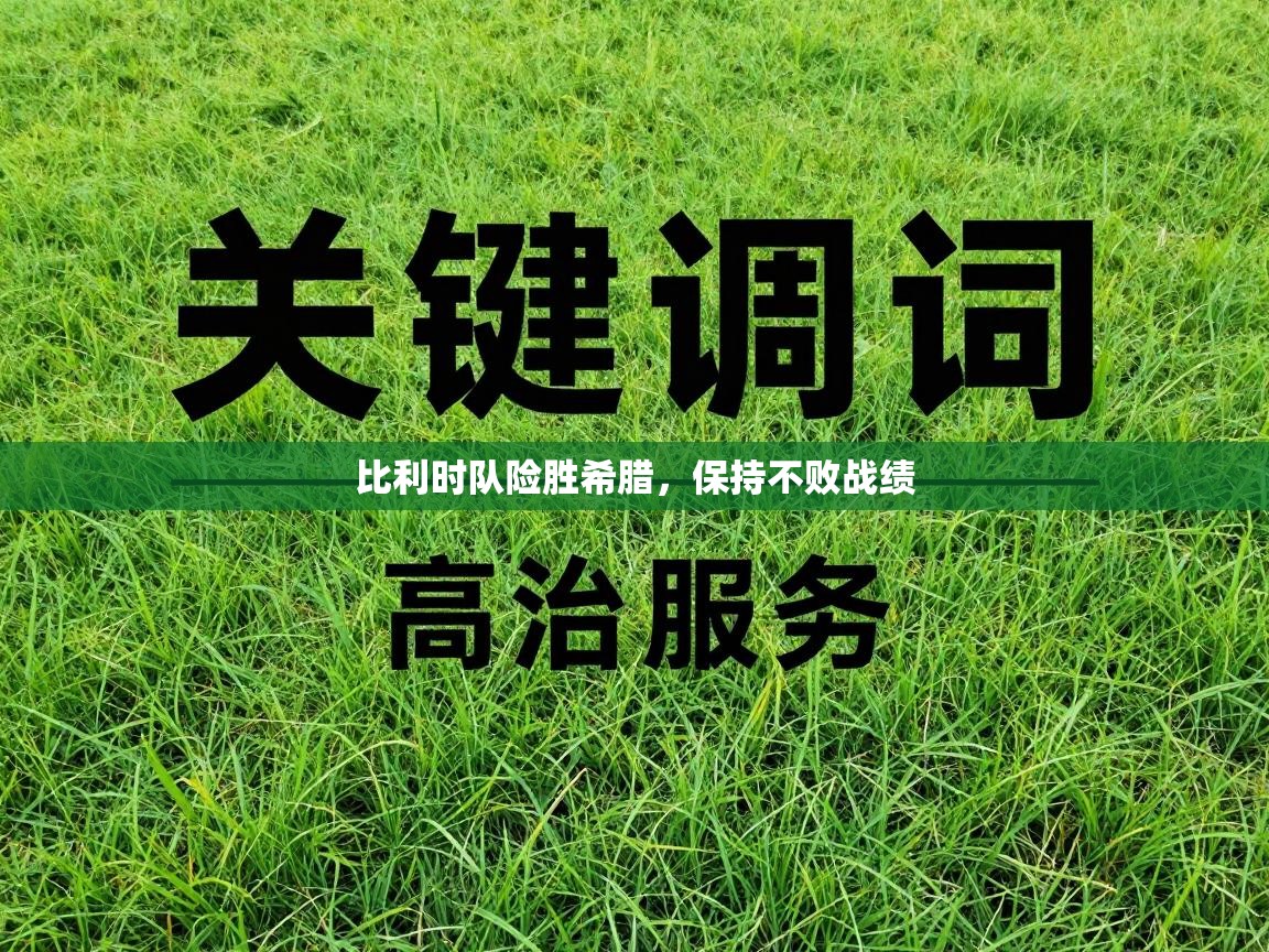 比利时队险胜希腊，保持不败战绩  第1张